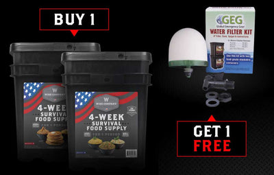 Buy a 4 Week Food Supply, get a Free Water Filter Kit  Wise Company Emergency Food   